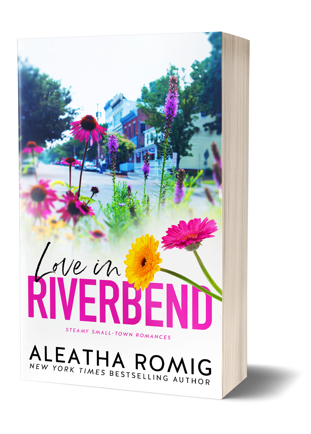 LOVE IN RIVERBEND - paperback