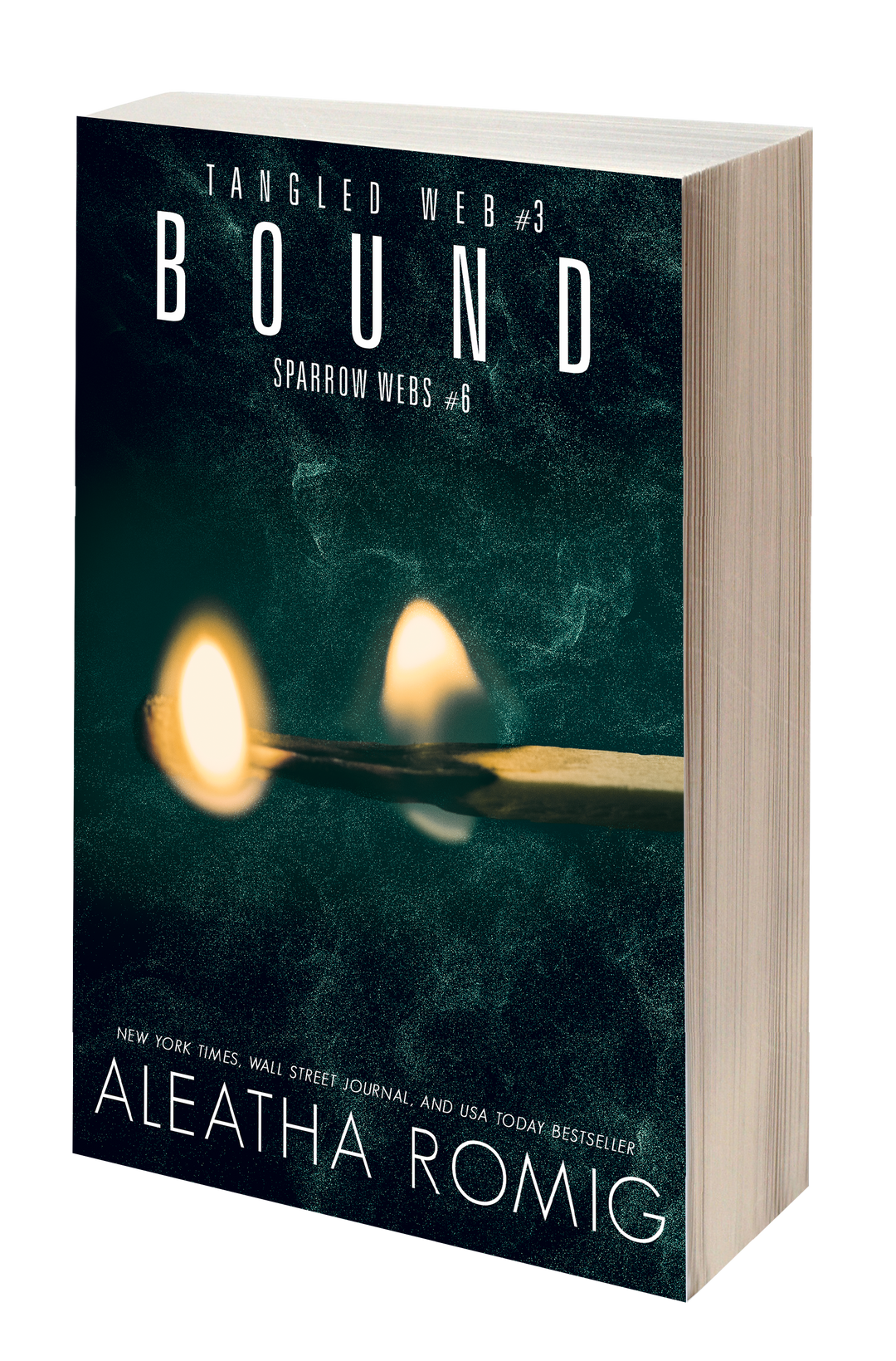 BOUND (book 3 Tangled Web - book 6 Sparrow Web Series) Paperback