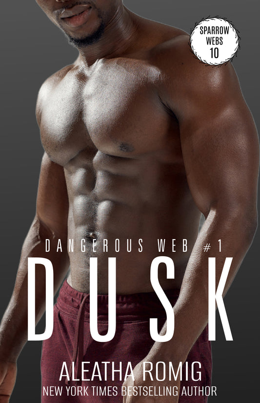 Dusk (Dangerous Web #1 - Web Series #10) e-book